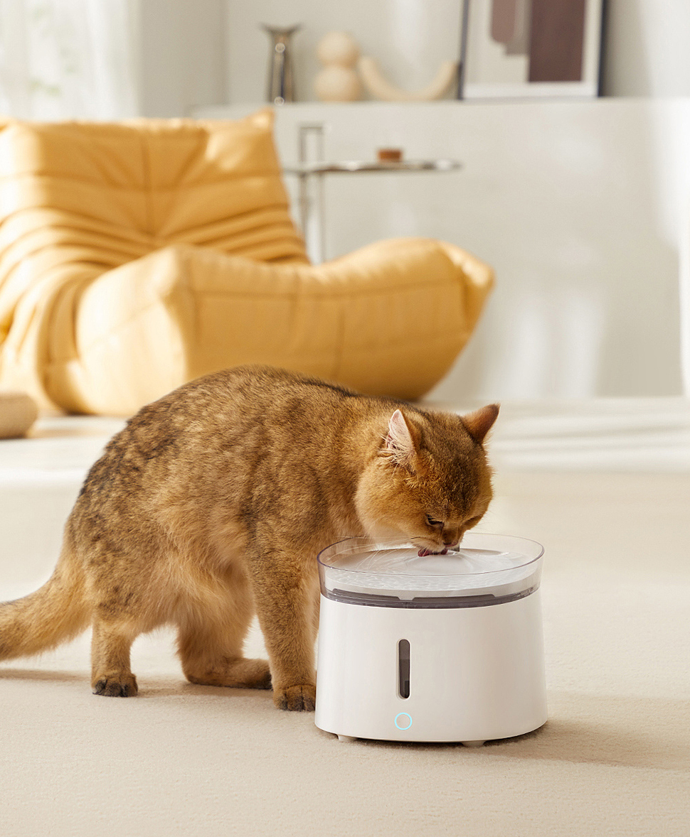 Produits pour animaux de compagnie