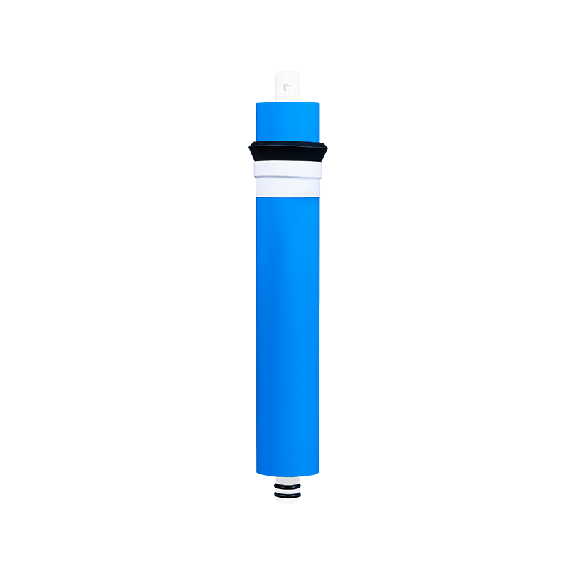 Cartouche de filtre à eau de la membrane domestique